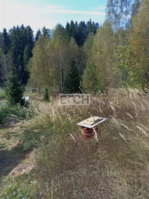 Участок в Московская область, Мытищи городской округ, д. Аббакумово, ... - Фото 1