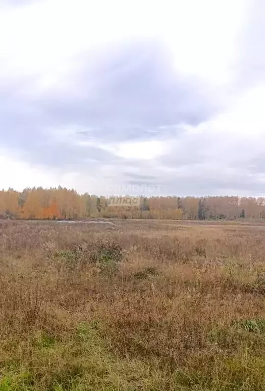 Участок в Свердловская область, Первоуральск городской округ, с. ... - Фото 0