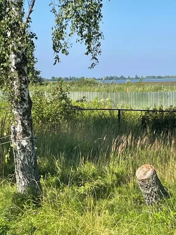 Дом в Тверская область, Конаковский муниципальный округ, д. Тешилово ... - Фото 1