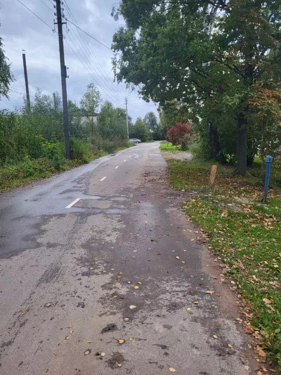 Дом в Новгородская область, Старая Русса Клубная ул., 10 (56 м) - Фото 2