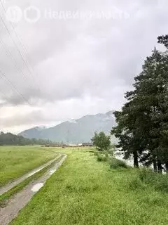 Участок в село Чемал, Прикатунская улица (100 м) - Фото 1