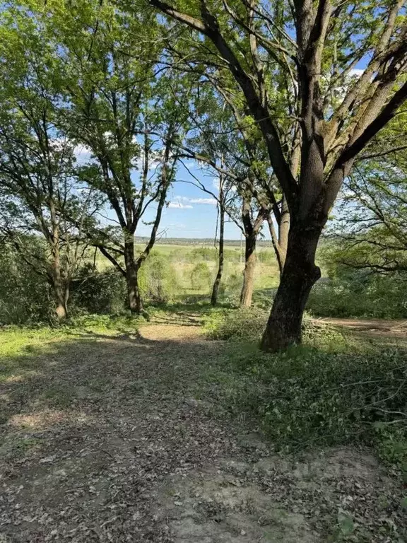 Участок в Калужская область, Совхоз Боровский с/пос, д. Николаевка  ... - Фото 2