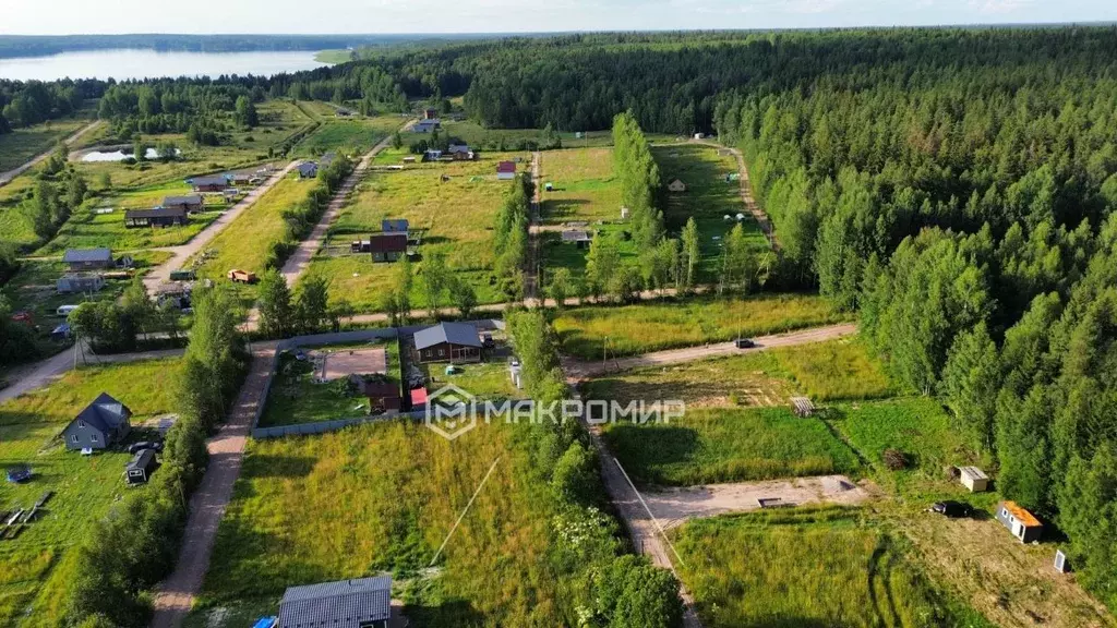 Участок в Ленинградская область, Выборгский район, Приморское ... - Фото 1