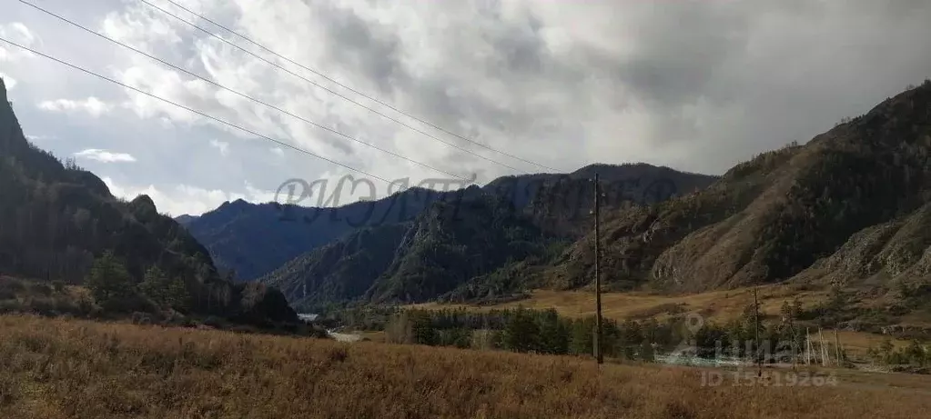 Участок в Алтай, Чемальский район, с. Еланда  (12.0 сот.) - Фото 1