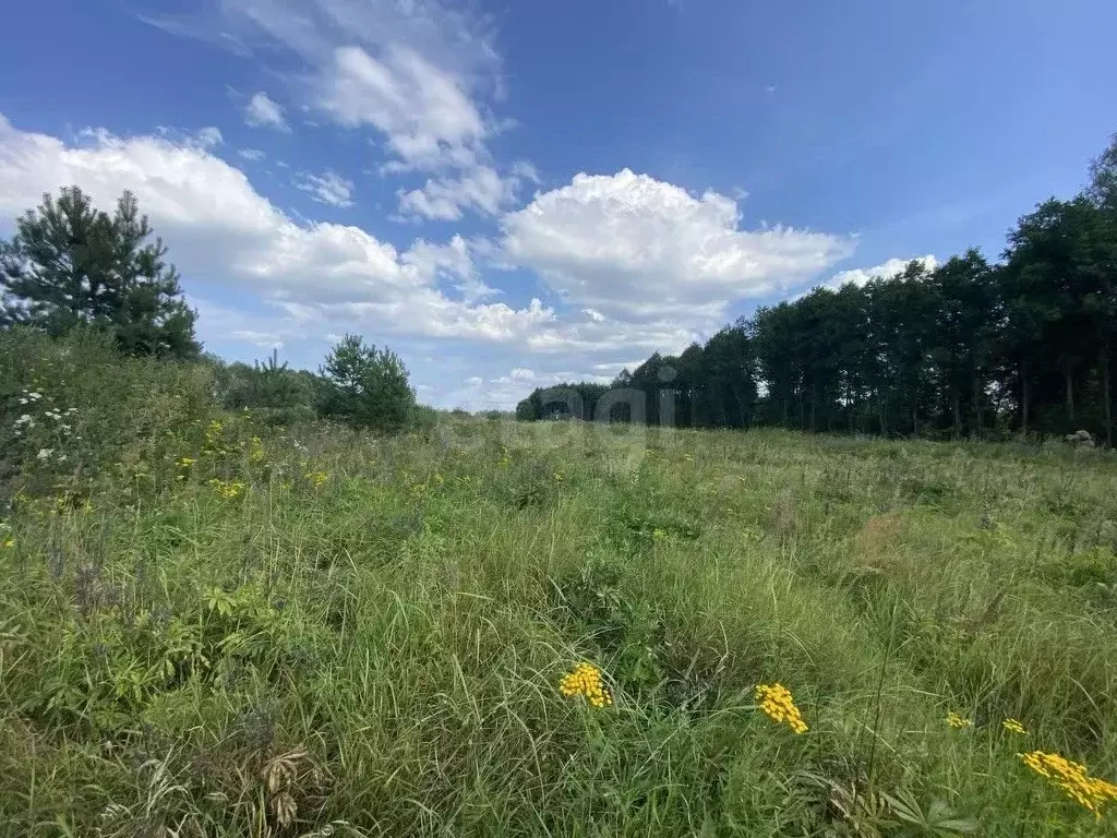 Участок в Владимирская область, Муром д. Макаровка,  (12.4 сот.) - Фото 2