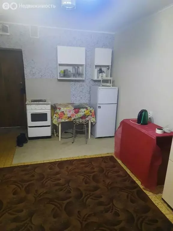 Квартира-студия: Тюмень, улица Республики, 248 (20 м) - Фото 1