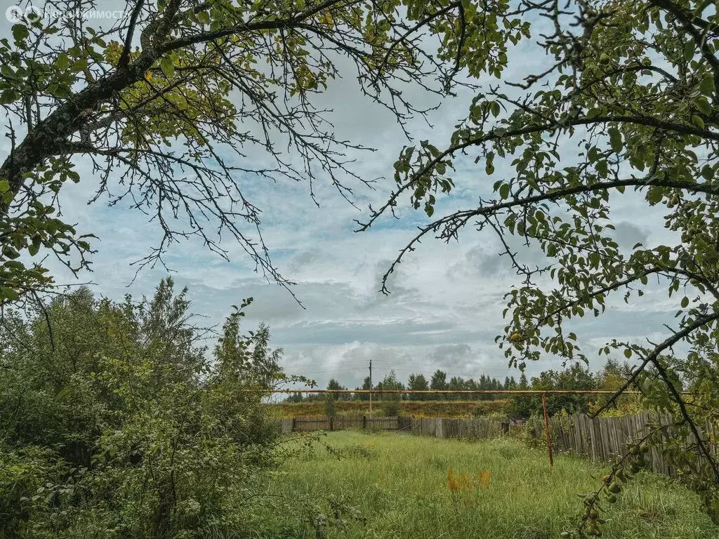 Участок в округ Муром, деревня Нежиловка, Пригородная улица, 34 (8 м) - Фото 1