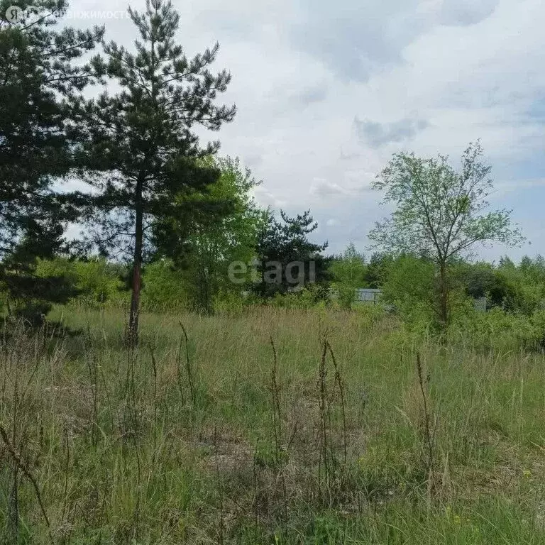Участок в село Русская Гвоздёвка, Луговая улица (10 м) - Фото 1