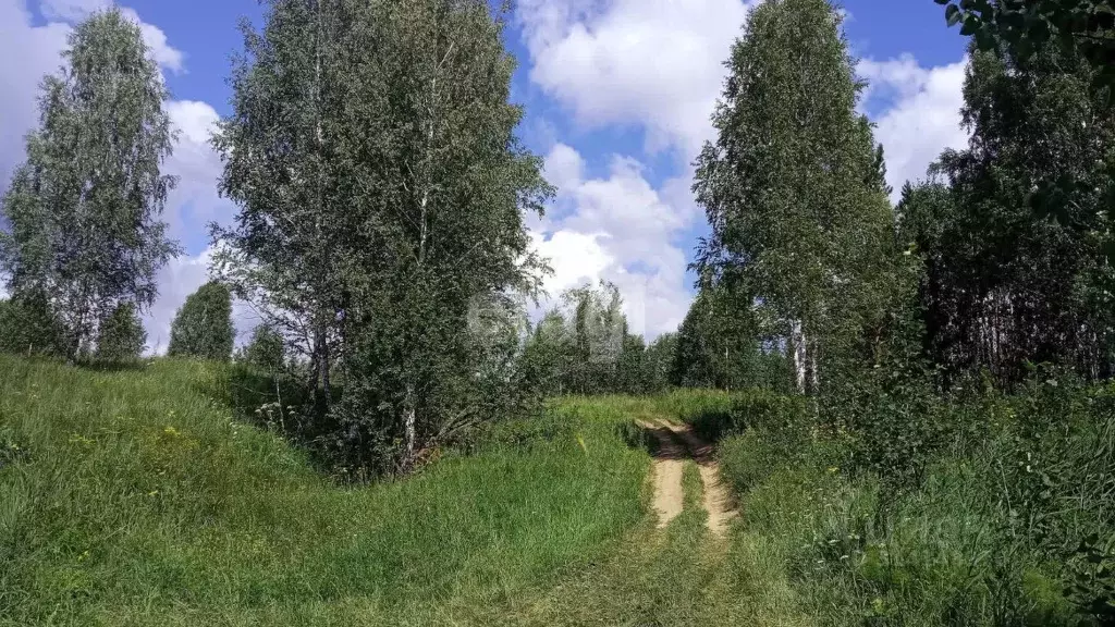 Участок в Новосибирская область, Новосибирский район, Барышевский ... - Фото 1