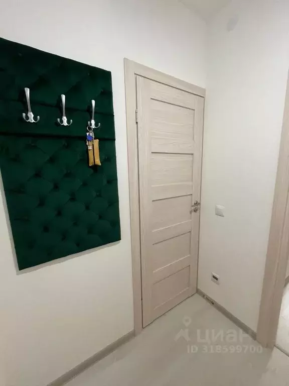 Студия Санкт-Петербург просп. Ветеранов, 185к3 (23.7 м) - Фото 1