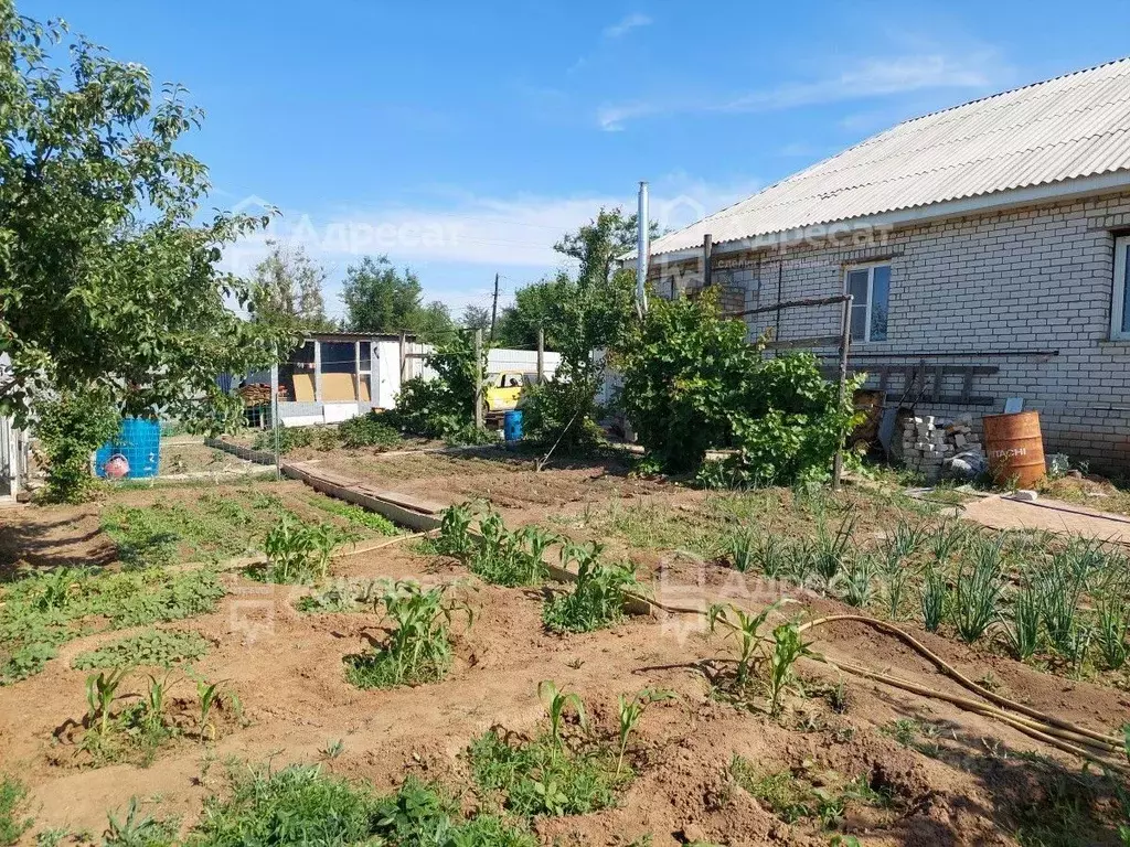 Дом в Волгоградская область, Волгоград бул. Сиреневый (79 м) - Фото 0
