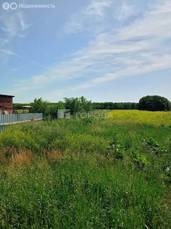 Участок в село Романово, Фрунзенская улица, 77 (36.2 м) - Фото 1