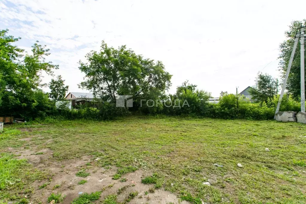 Участок в Новосибирская область, Новосибирский район, Криводановский ... - Фото 1