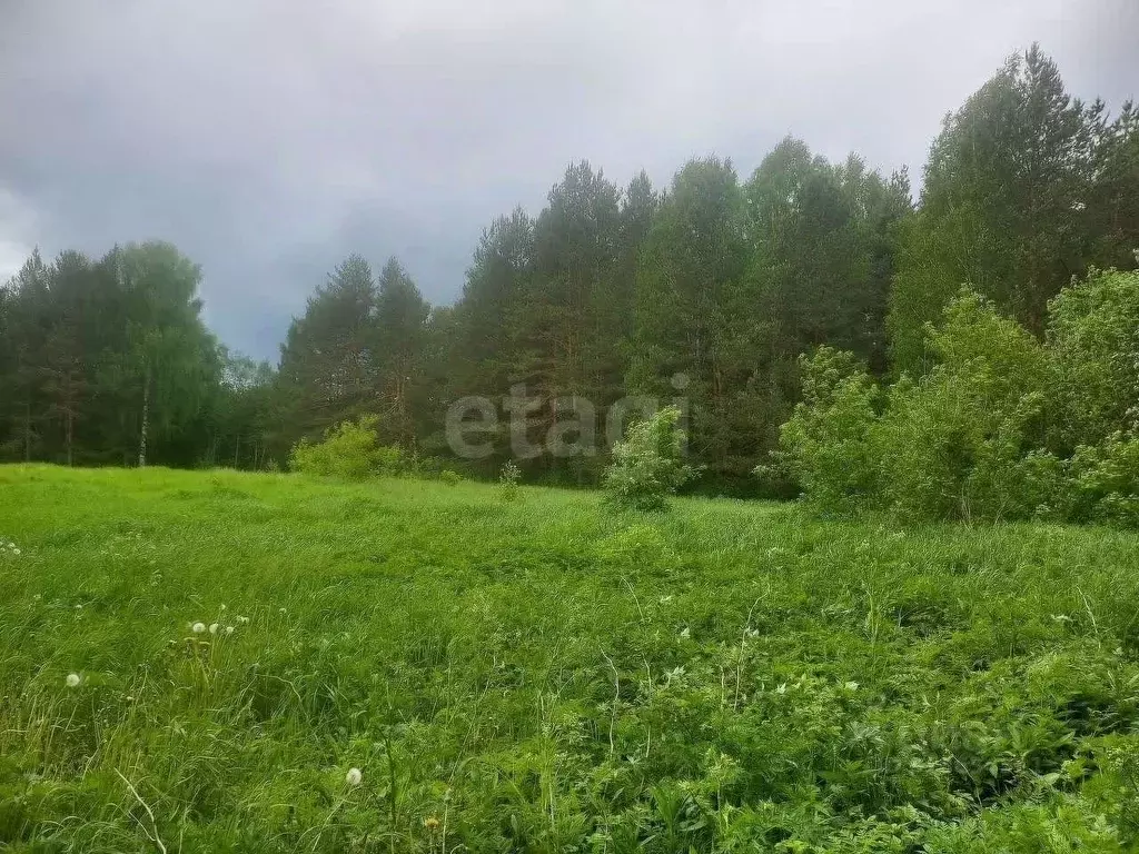 Участок в Кировская область, Киров городской округ, с. Бахта  (6.8 ... - Фото 1