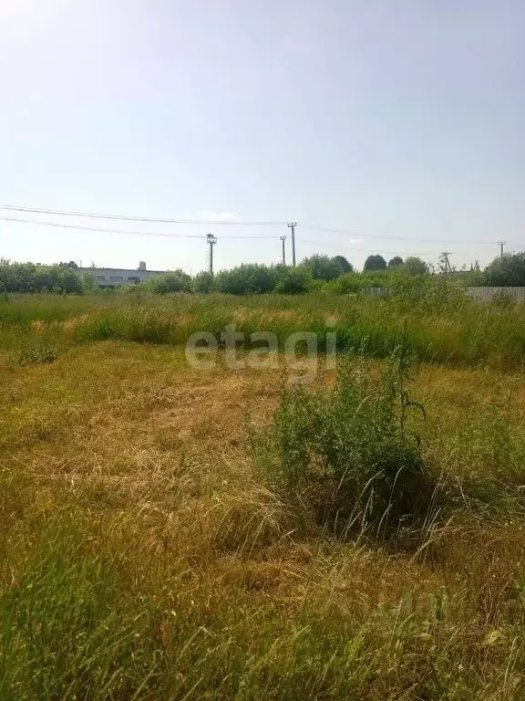 Участок в Белгородская область, Белгородский муниципальный округ, пос. ... - Фото 1