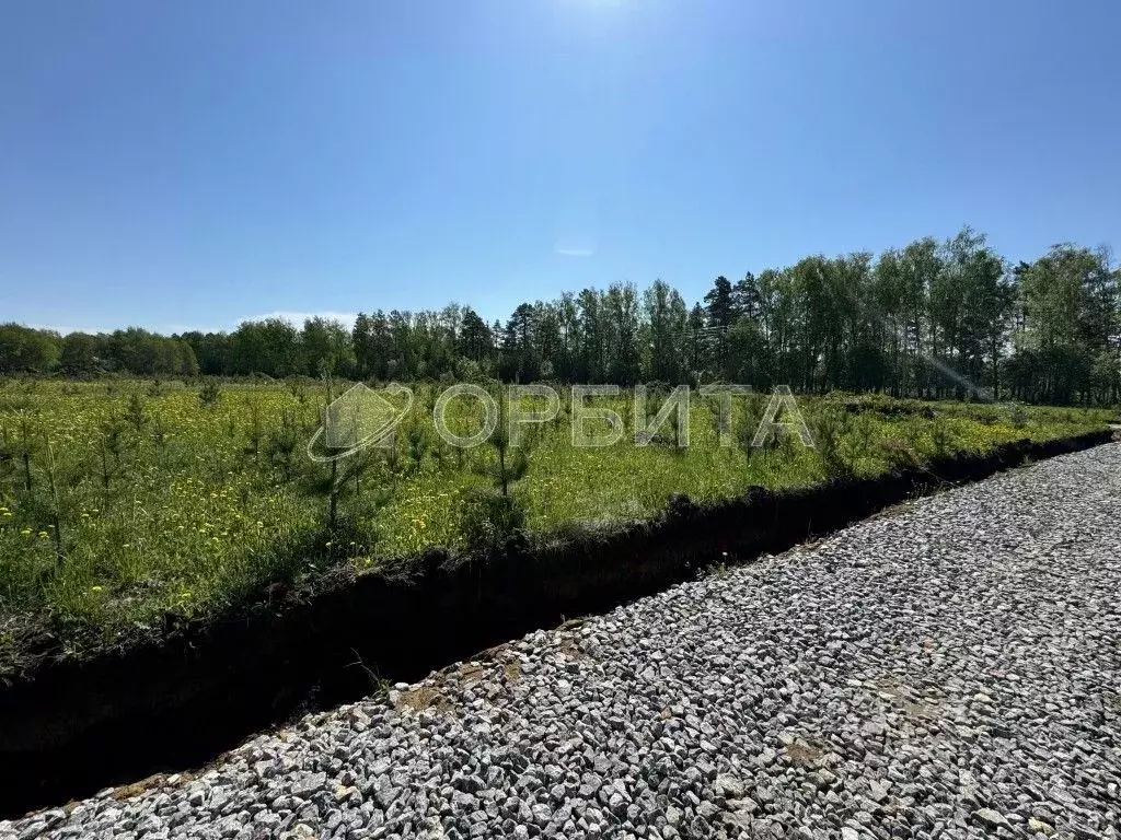 Участок в Тюменская область, Тюменский район, д. Ушакова Зеленая ул. ... - Фото 1