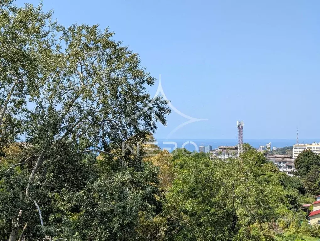 1-к кв. Краснодарский край, Сочи Бытха мкр, ул. Ясногорская, 16А (35.3 ... - Фото 1