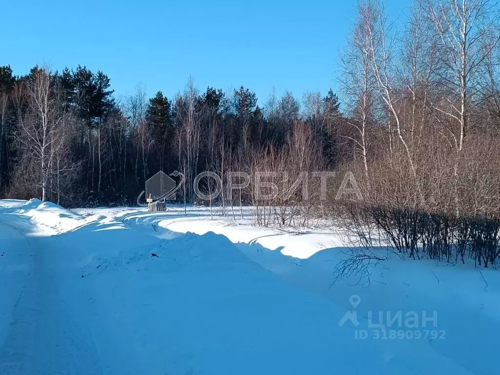 Участок в Тюменская область, Тюменский район, Архитектор СНТ ул. ... - Фото 0