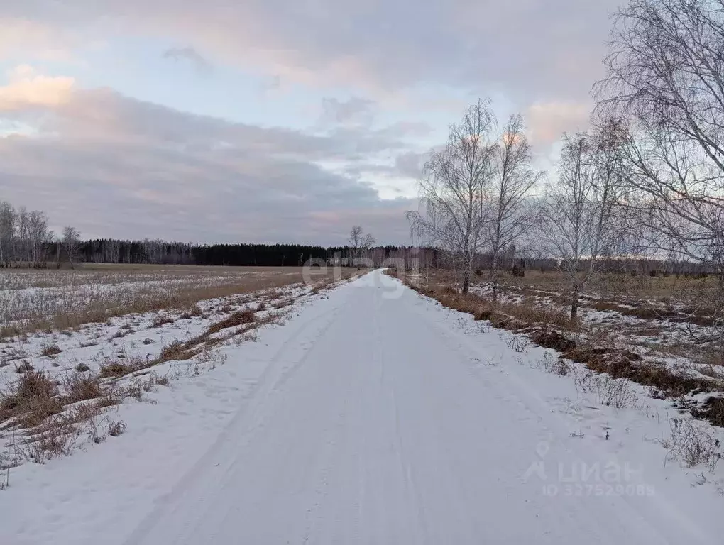 Участок в Челябинская область, Красноармейский муниципальный округ, ... - Фото 1