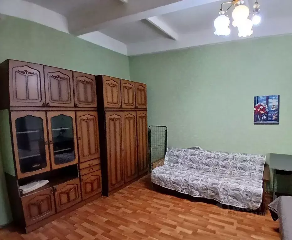 1-к кв. Московская область, Щелково ул. Пушкина, 15 (33.0 м) - Фото 2