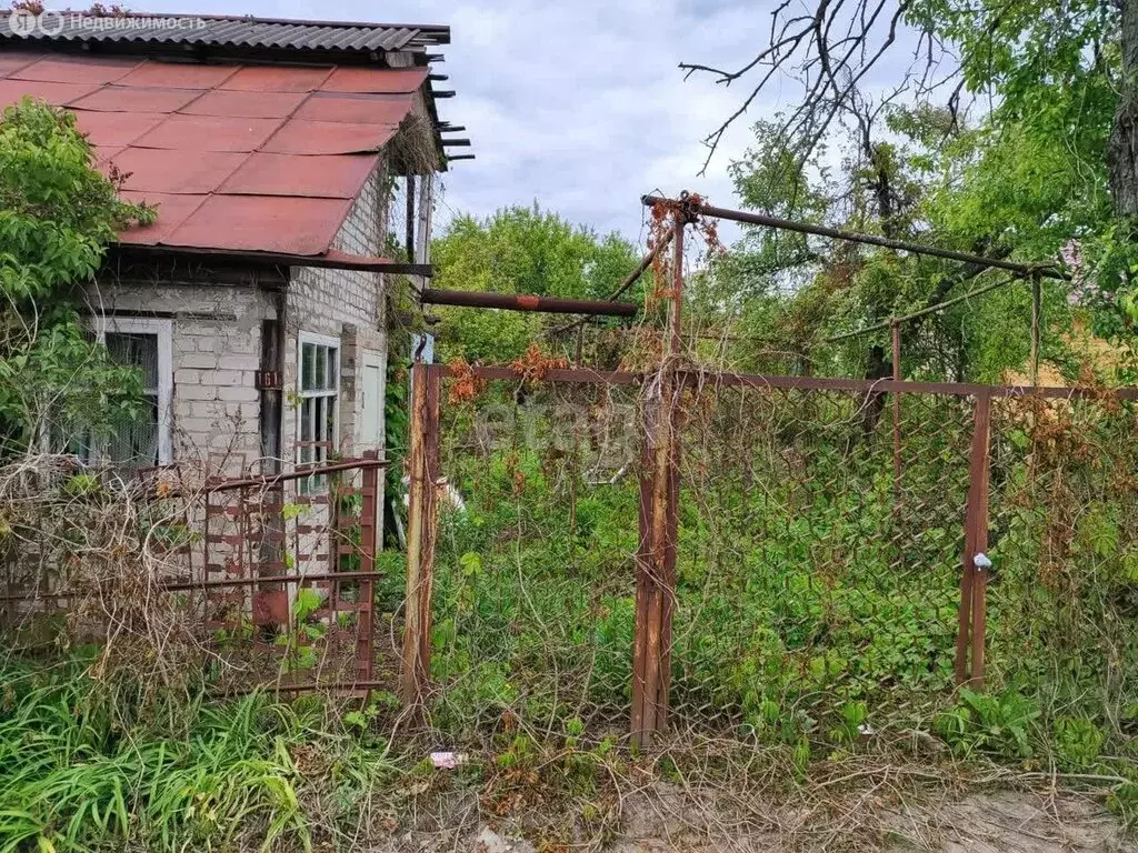 Участок в Воронеж, ТСН СНТ Путь Мичурина, 5-я Сельмашевская улица ... - Фото 0