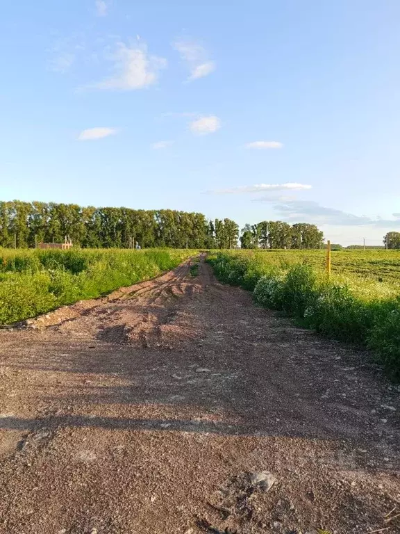 Участок в Башкортостан, Стерлитамакский район, Отрадовский сельсовет, ... - Фото 1