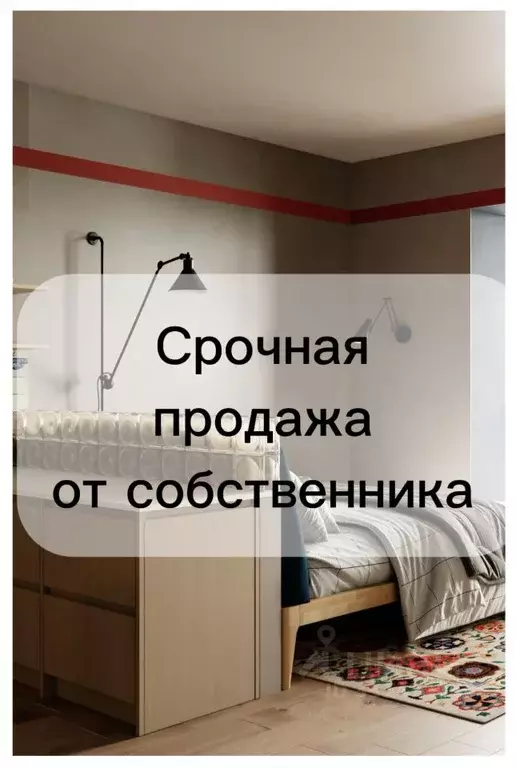 Студия Калининградская область, Светлогорск Олимпийский бул., 3 (44.2 ... - Фото 1