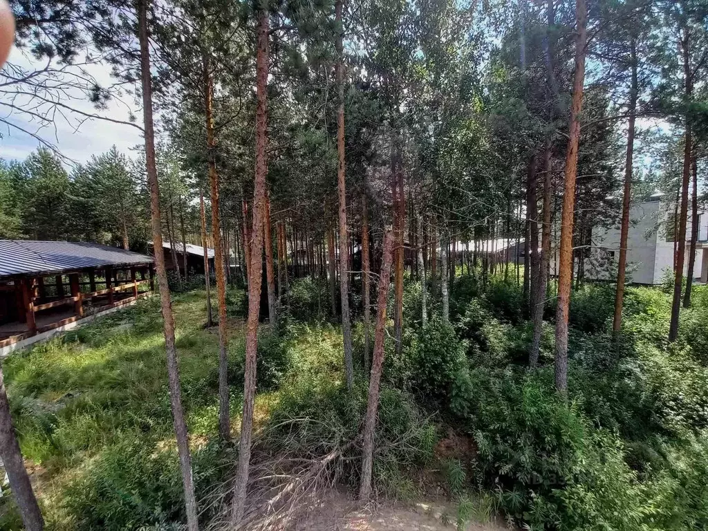 Участок в Ленинградская область, Всеволожский район, Сертоловское ... - Фото 1