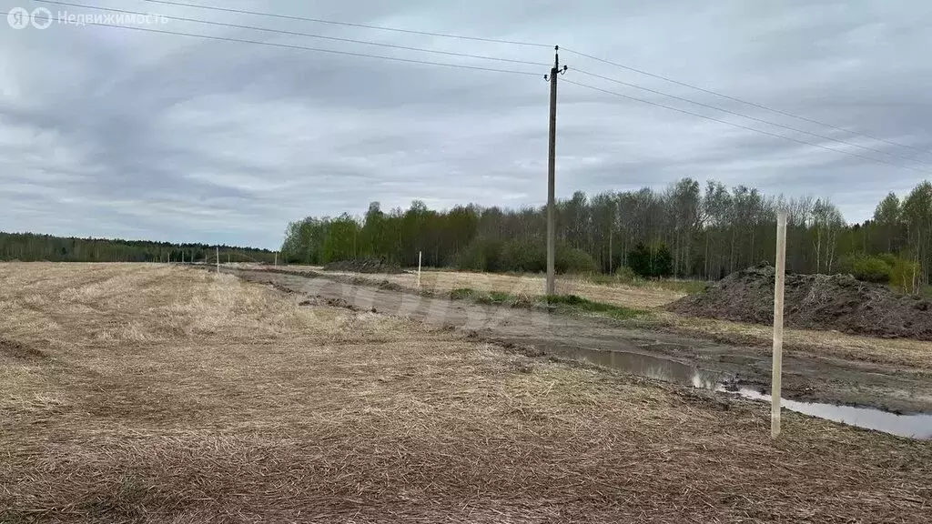 Участок в Свердловская область, Тугулымский муниципальный округ, ... - Фото 1