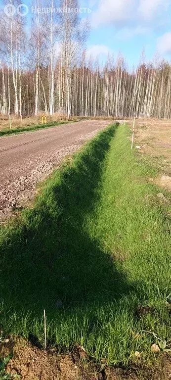 Участок в Приозерский район, Сосновское сельское поселение, деревня ... - Фото 1