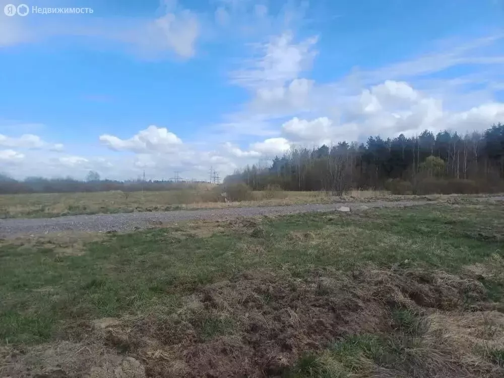 Участок в Отрадное, посёлок Петрушино, Полевая улица, 14 (10 м) - Фото 1