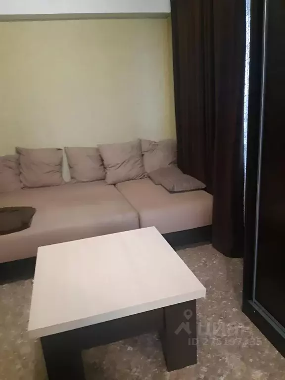 Студия Алтайский край, Бийск ул. Михаила Митрофанова, 2/3 (23.0 м) - Фото 1