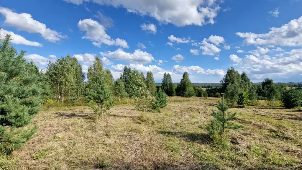 Участок в Нижегородская область, Нижний Новгород городской округ, д. ... - Фото 2
