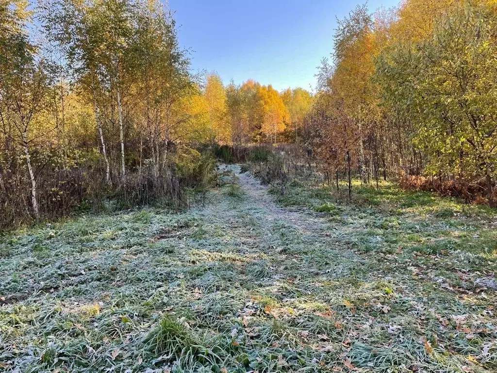 Участок в Московская область, Красногорск городской округ, с. ... - Фото 0