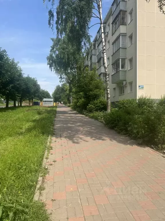 Торговая площадь в Кировская область, Киров ул. Чапаева, 22 (30 м) - Фото 1