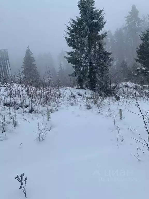 Участок в Ленинградская область, Выборгский район, Полянское с/пос, ... - Фото 2