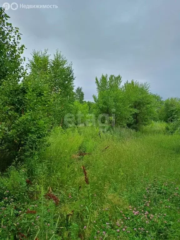 Участок в Амурская область, Благовещенск (6 м) - Фото 1