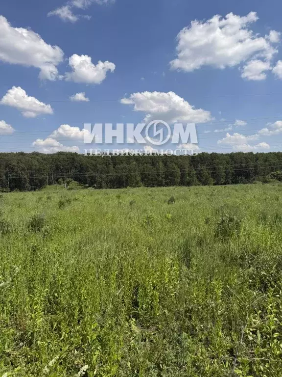 Участок в Московская область, Домодедово Новое Косино кп, 353 (8.0 ... - Фото 1