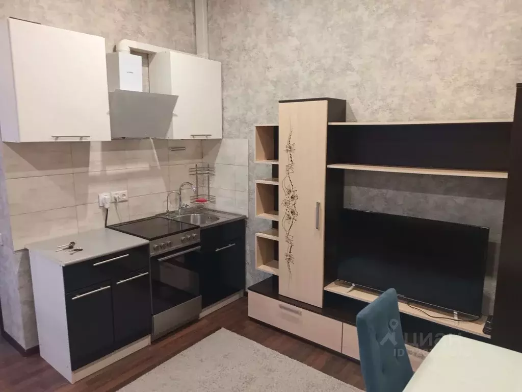 Студия Московская область, Богородский городской округ, д. Новая ... - Фото 1