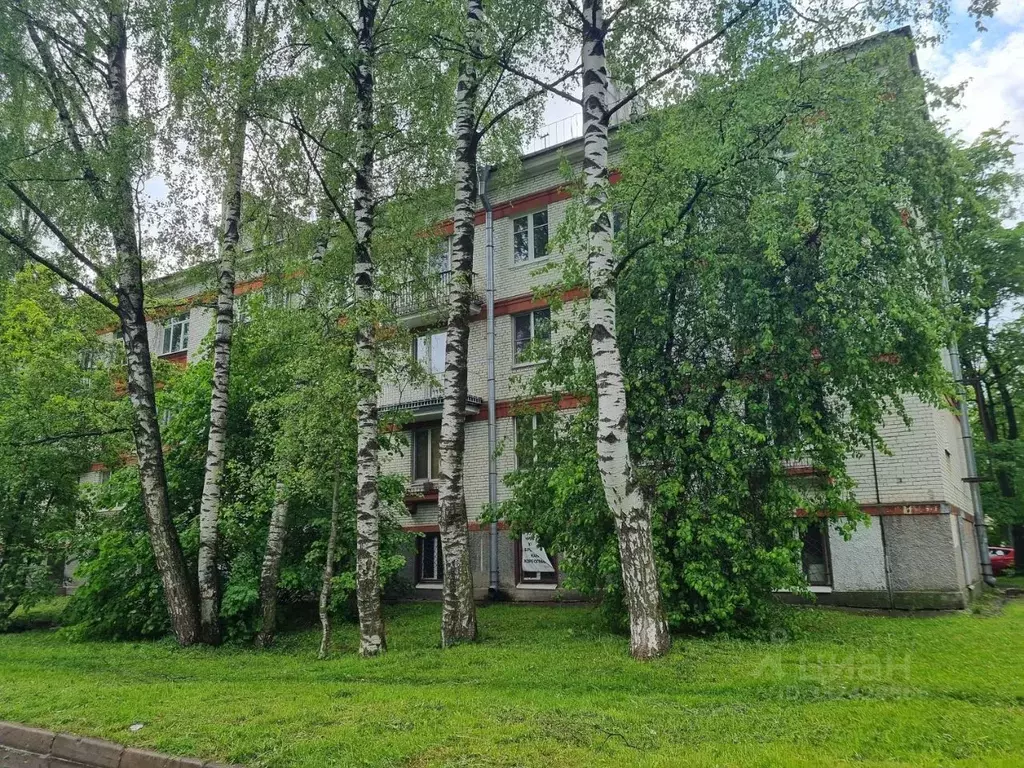 Комната Санкт-Петербург ул. Тамбасова, 29К2 - Фото 1