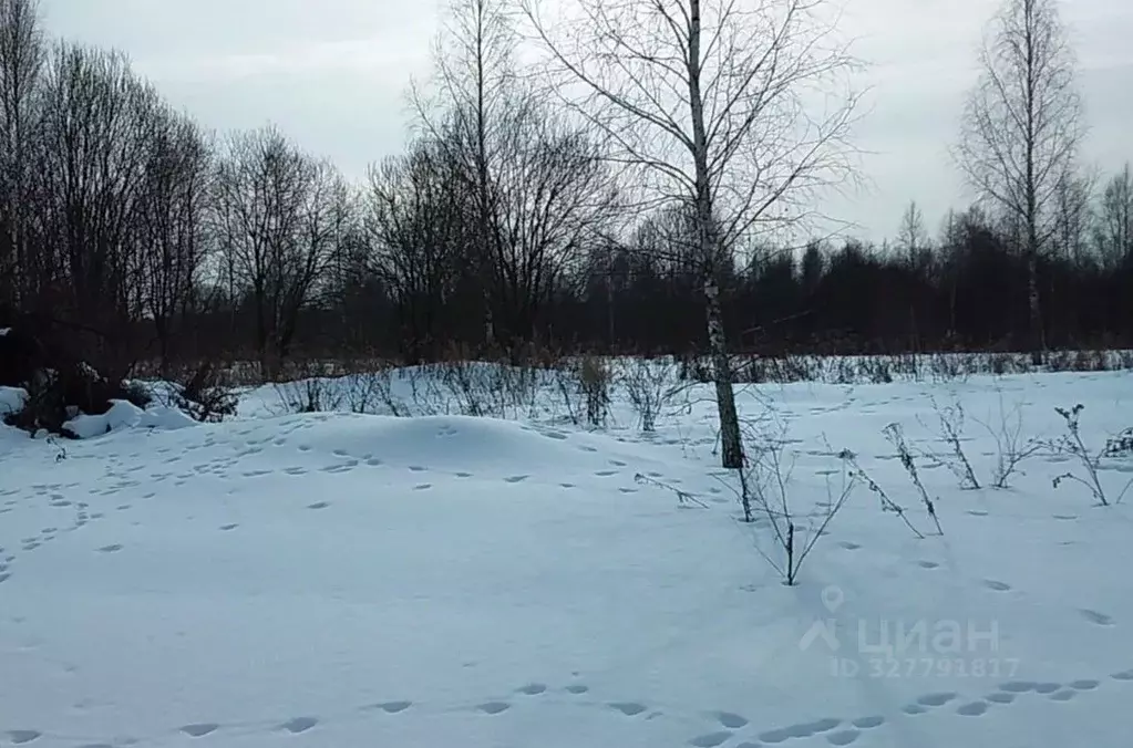 Участок в Московская область, Ступино городской округ, д. Лаврентьево  ... - Фото 1