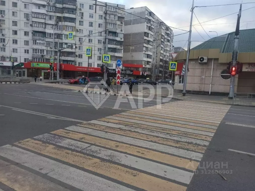 Помещение свободного назначения в Краснодарский край, Новороссийск ... - Фото 1