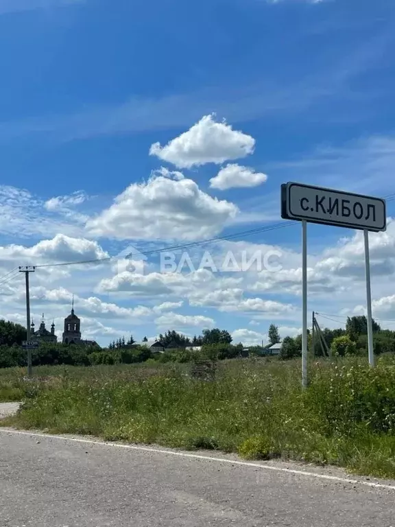 Участок в Владимирская область, Суздальский район, Селецкое ... - Фото 1