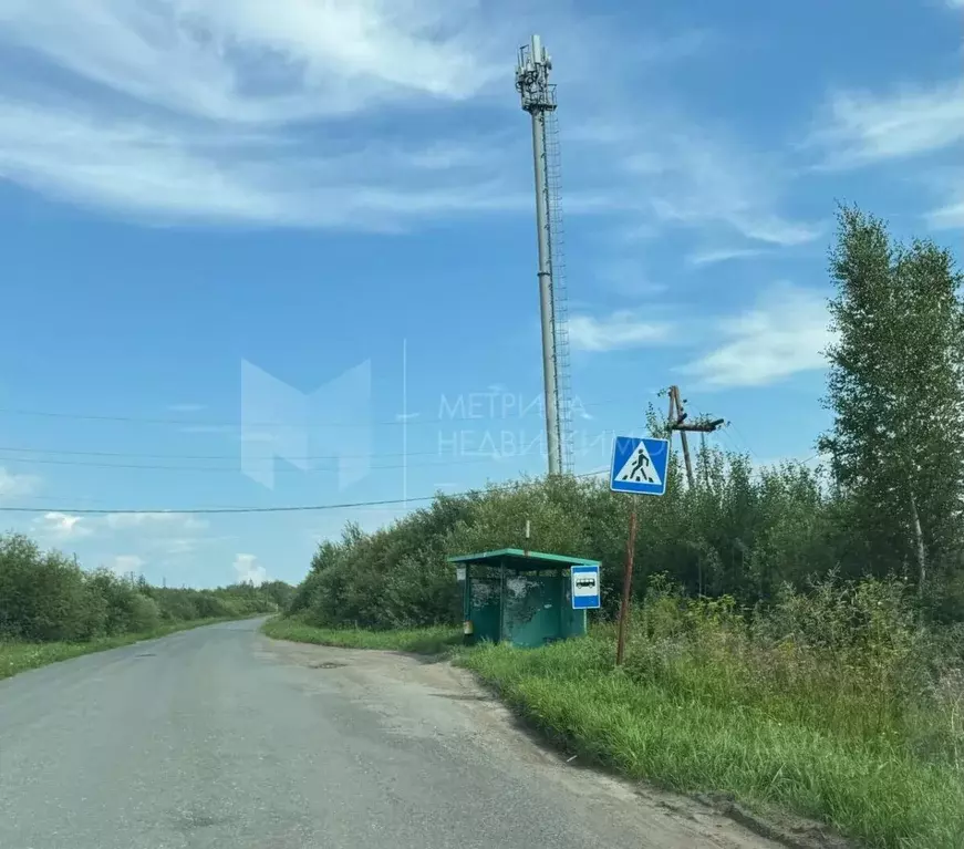 Участок в Тюменская область, Нижнетавдинский район, Моторостроитель ... - Фото 1