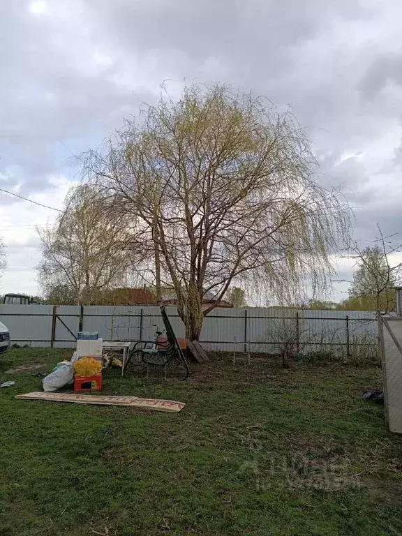 Участок в Тамбовская область, Первомайский муниципальный округ, с. ... - Фото 2