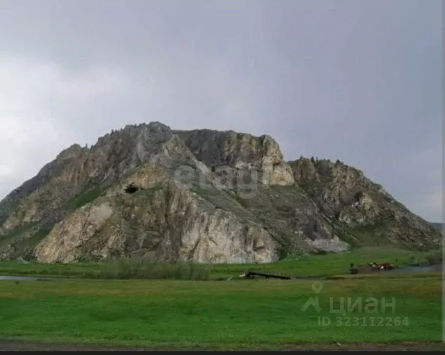 Участок в Алтай, Усть-Канский район, с. Усть-Кан  (1860.0 сот.) - Фото 1