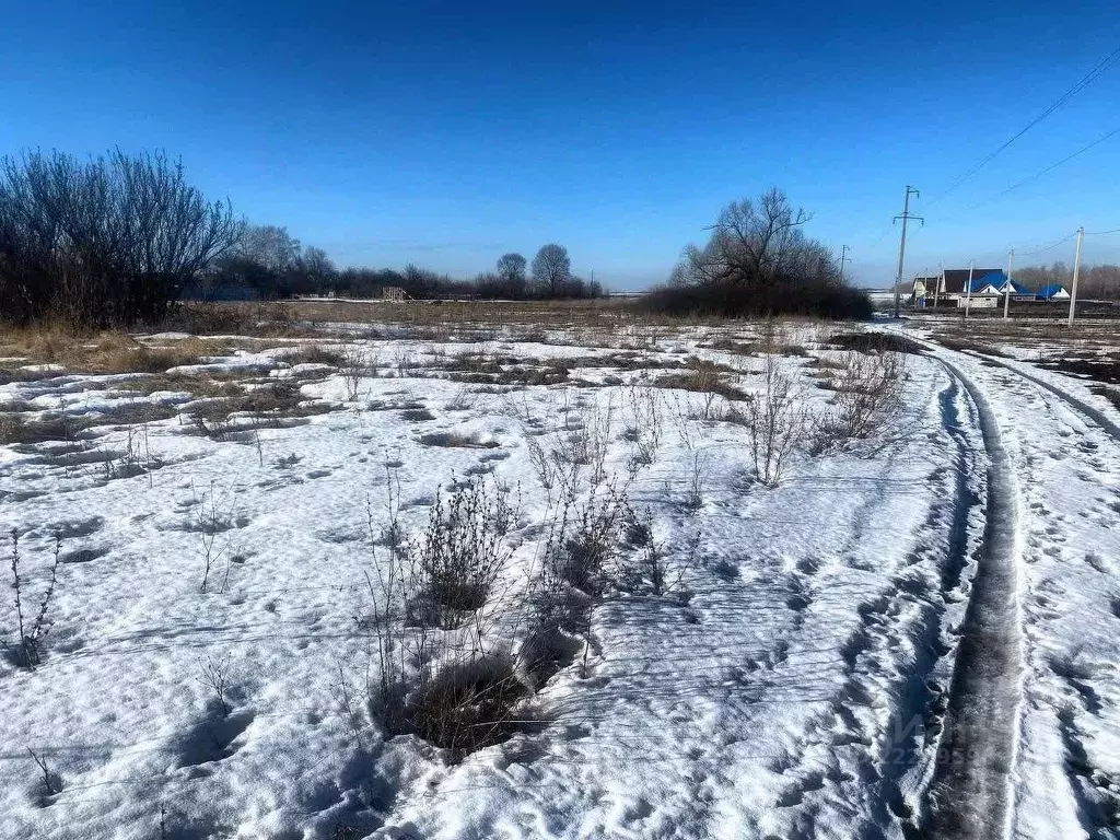 Участок в Белгородская область, Губкинский городской округ, с. Аверино ... - Фото 0