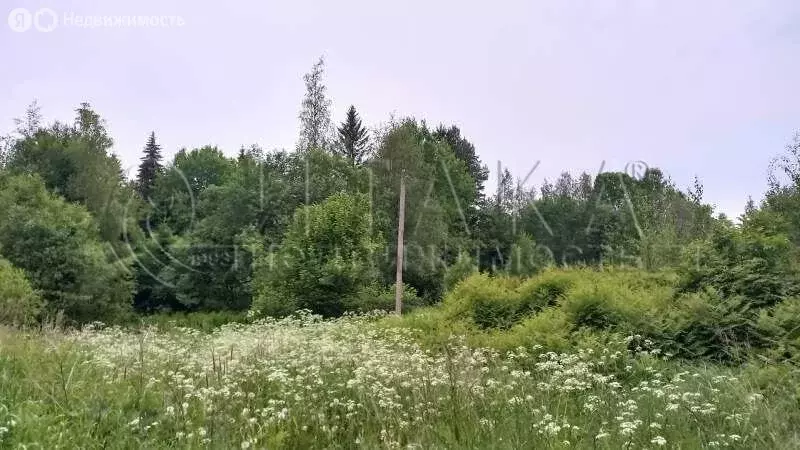 Участок в Выборгский район, Каменногорское городское поселение, ... - Фото 1