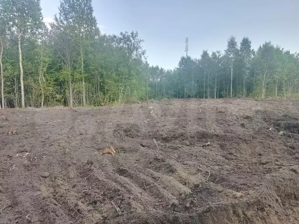 Участок 10,1 сот. (ИЖС) - Фото 0