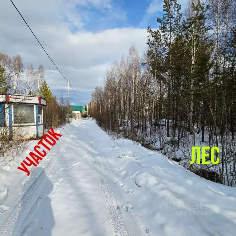 Участок в Свердловская область, Екатеринбург Монолит СНТ, 168 (9.0 ... - Фото 1